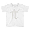 pi rate Toddler T-shirt