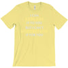 engineer's motto can't understand it for you T-Shirt