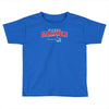 masshole massachusetts Toddler T-shirt