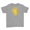vermilion gym Youth Tee