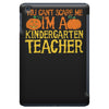 kindergarten teacher iPad Mini