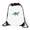 Princess Dinosaur Drawstring Bags