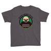 bah hum pug Youth Tee