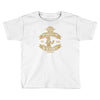 why would you put that on the internet Toddler T-shirt