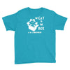 the cat in the box Youth Tee