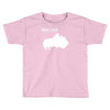 theres nothing wrong with love built to spill Toddler T-shirt