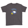 alestorm gotta drink em all Youth Tee