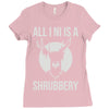 all i ni Ladies Fitted T-Shirt
