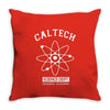 theory science Throw Pillow