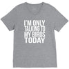 i'm only talking to my birds today V-Neck Tee