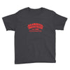 kramerica Youth Tee