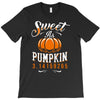 sweet as pumpkin pi T-Shirt