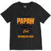 I'm Called Papaw Because I'm Way Too Cool To Be Called Grandfather V-Neck Tee
