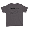 Feminism Noun Youth Tee