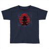 Circle Asia Toddler T-shirt