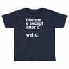 i before e except after c Toddler T-shirt
