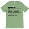 Feminism Noun T-Shirt