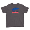 international house of stark Youth Tee