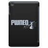 pwned iPad Mini