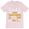 Born Sagittarius Multitasking Problem Solving Tees T-Shirt