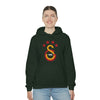 test Unisex Heavy Blend™ Hooded Sweatshirt