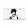 virtual reality License Plate