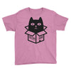 cats love boxes Youth Tee