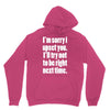 sorry for being right funny joke Unisex Hoodie