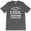 this is what a cool grandma looks like T-Shirt