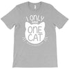 i only have one cat my cat has a few cat T-Shirt