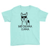 no drama llama Youth Tee