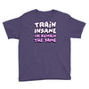 train insane or remain the same Youth Tee