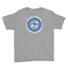 boxers support diabetes awareness Youth Tee