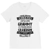 Super Cool Grammy Of A Freaking Awesome Grandson V-Neck Tee
