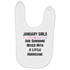 January Girls Baby Bibs