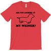 are you looking at my weiner t shirt funny dog wiener dachshund s m l T-Shirt