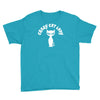 crazy cat lady Youth Tee