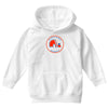 quebec nordiques hockey team Youth Hoodie
