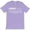 Feminist Noun T-Shirt
