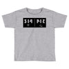reflections on pi Toddler T-shirt