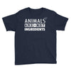 Animals Are Not Ingredients Youth Tee