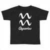 aquarius zodiac Toddler T-shirt